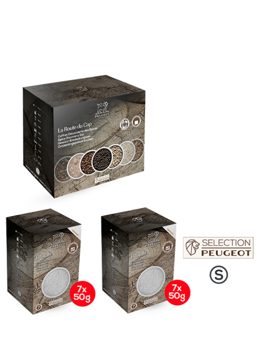 Rock salt Pack of 2 coarse cooking salt cases - Peugeot Saveurs